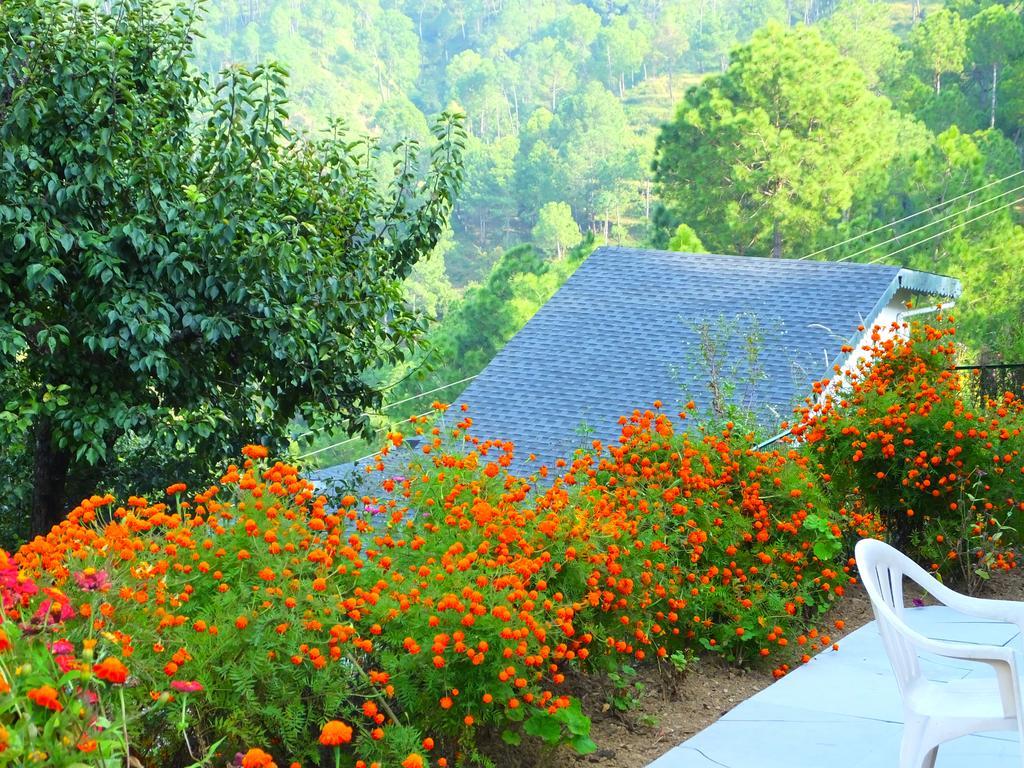 Hostie Sharanam - 2Bhk Pvt Mountain Villa, Majkhali Ranikhet Exterior photo